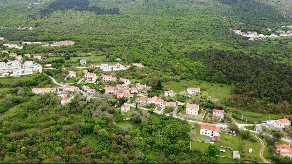 Bonvivan House Diminici Bagian luar foto